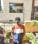 Zertifizierte/r Pflegeassistent/in Dennis Mauti aus Nairobi Kenia