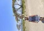 Certified Nursing Assistant (CNA) Morine from Mombasa Kenya